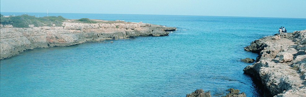 Viaggi e vacanze Lido Marini